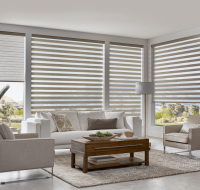 Layered Zebra shades (1)-min